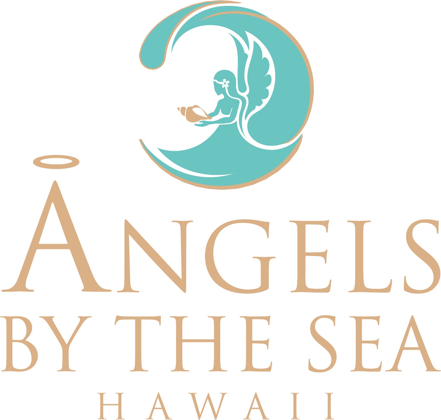 Angels by the sea Hawaii Sheraton waikiki photo 1 in Honolulu