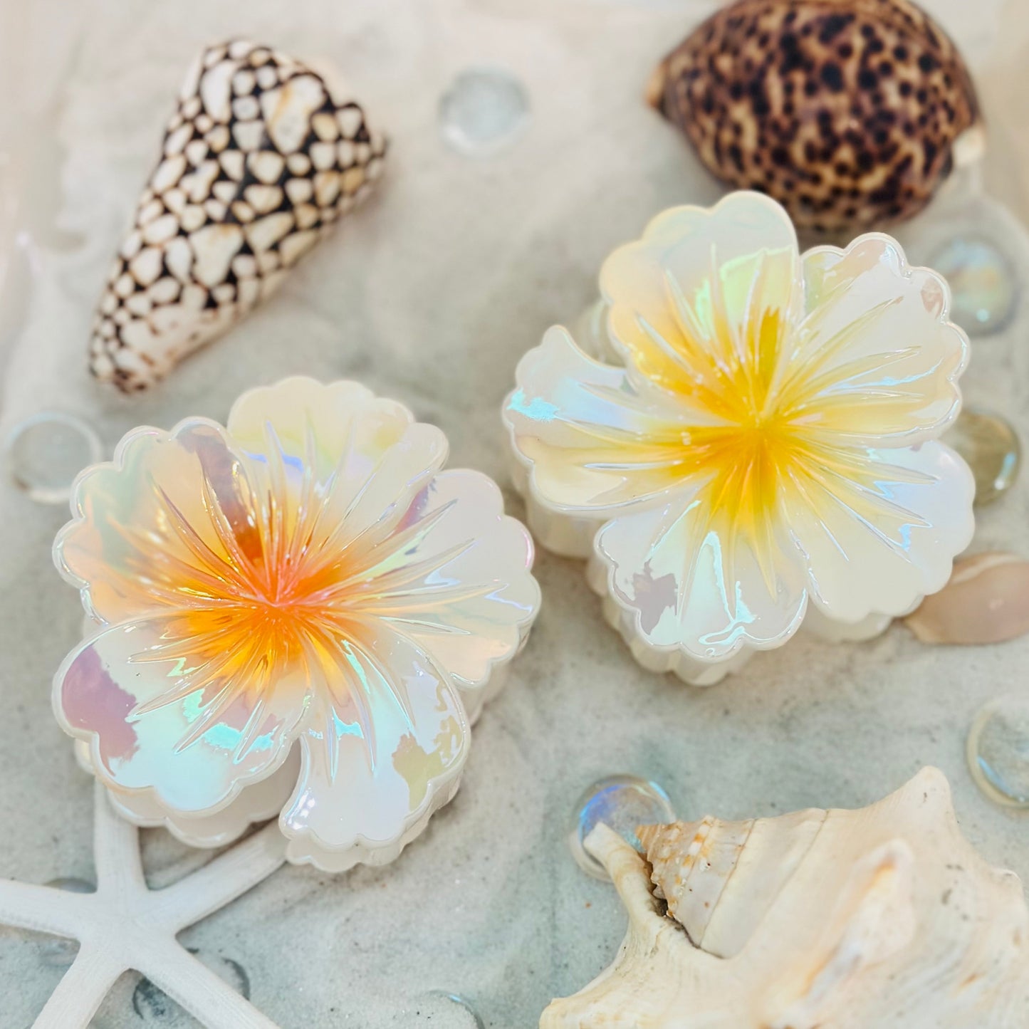 Sunset Hibiscus Clip