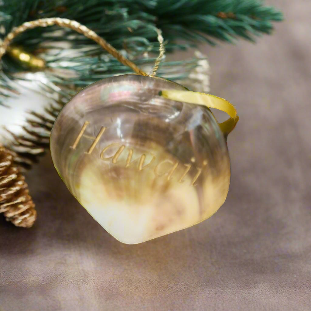 Engraved Hawaii Shell Ornament